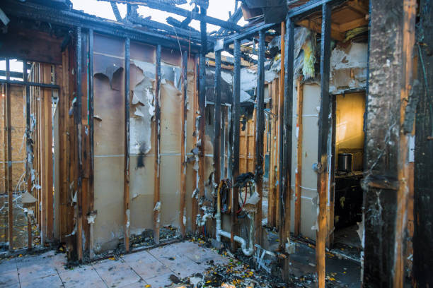 Professional Fire Damage Repair technician working in Cumberland Head, NY